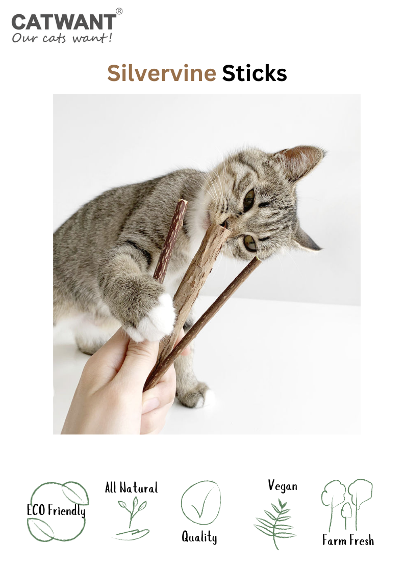 Silvervine Sticks for Cats - Natural Cat Teaser and Chew Toys - Shopthatapp.ca