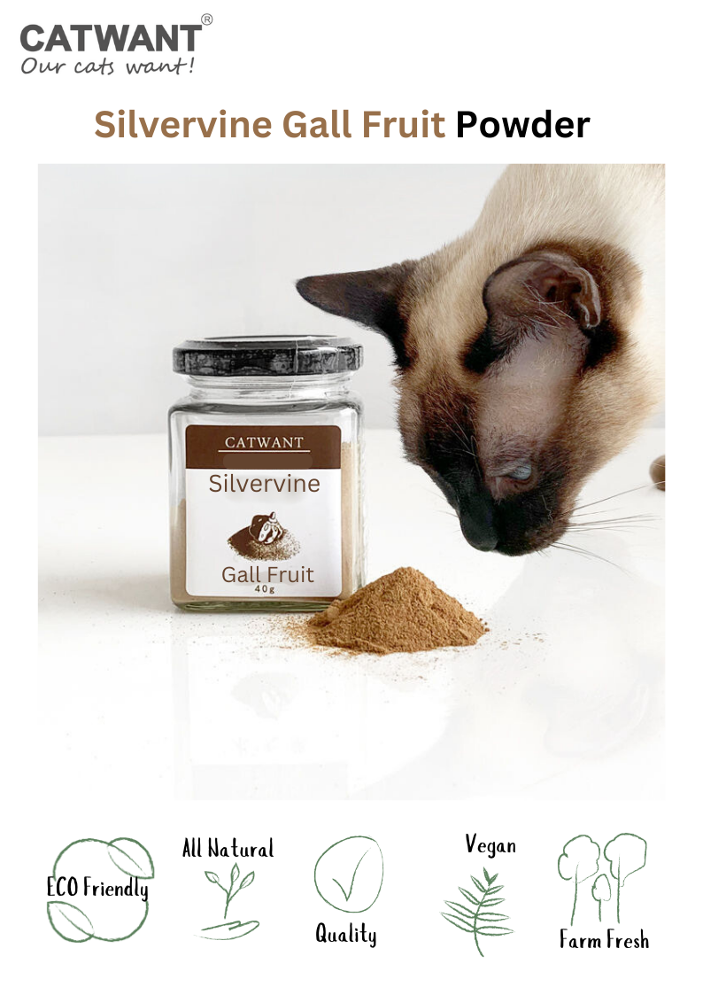 Silvervine Gall Fruit Powder - Shopthatapp.ca