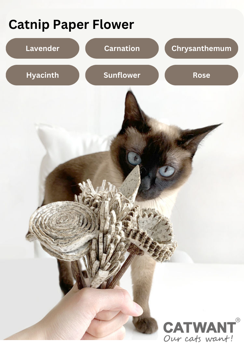 Silvervine Birthday Cake Catnip Flower Toy for Feline Festivities - Shopthatapp.ca