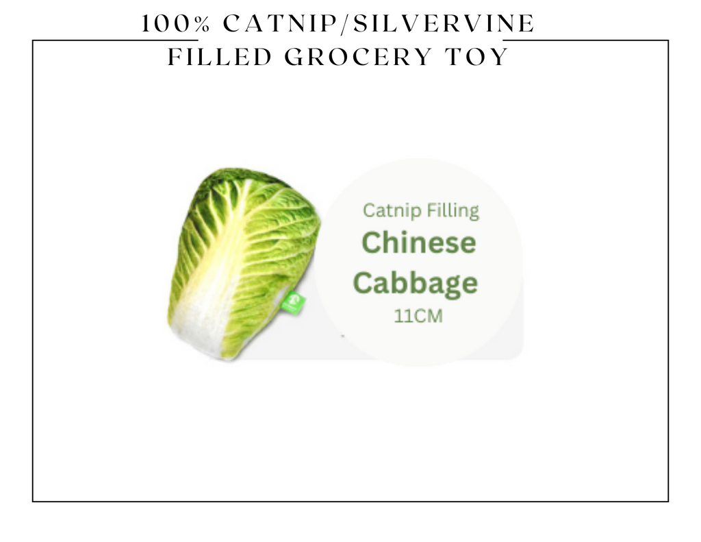 100% Silvervine Catnip Cuddle Toy - Grocery Shaped Plush for Cats - Shopthatapp.ca