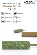 Extra Fancy Catnip Popsicle - Shopthatapp.ca