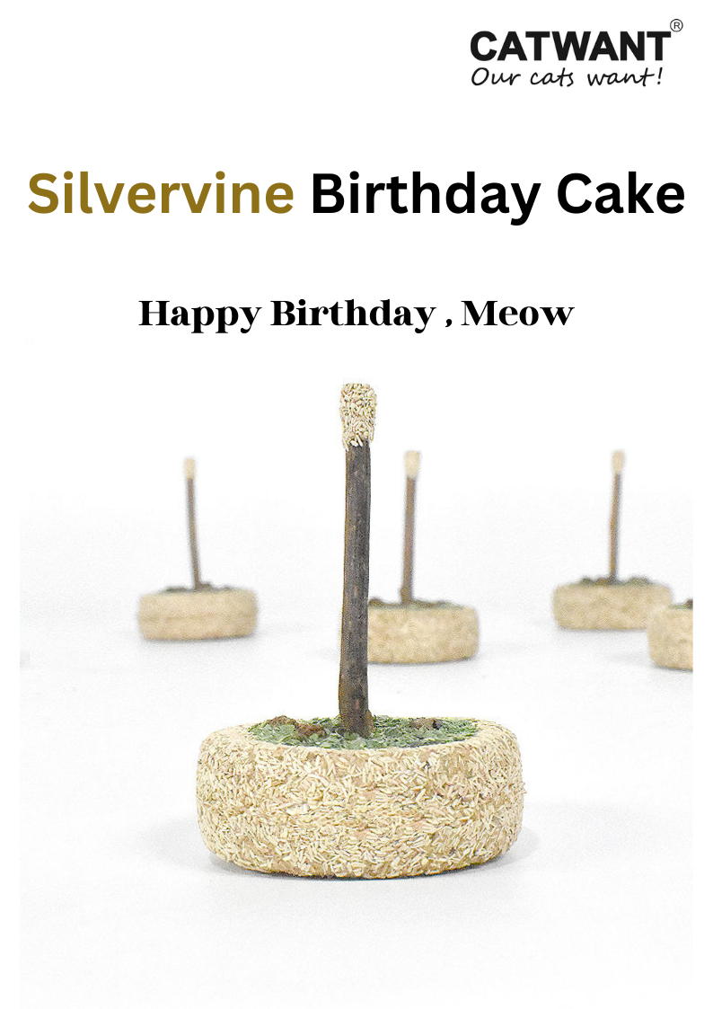 Silvervine Birthday Cake - Shopthatapp.ca