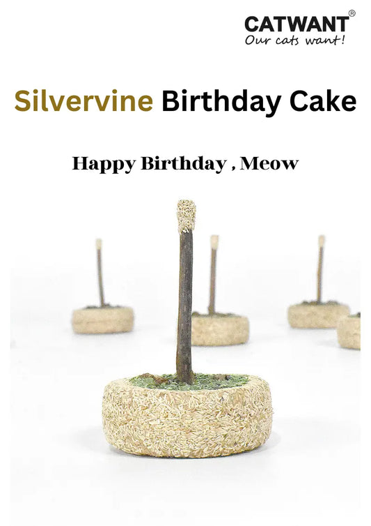 Natural Silvervine Birthday Cake toy for cats by CATWANT, featuring a fresh, colorful design with silvervine for feline entertainment.