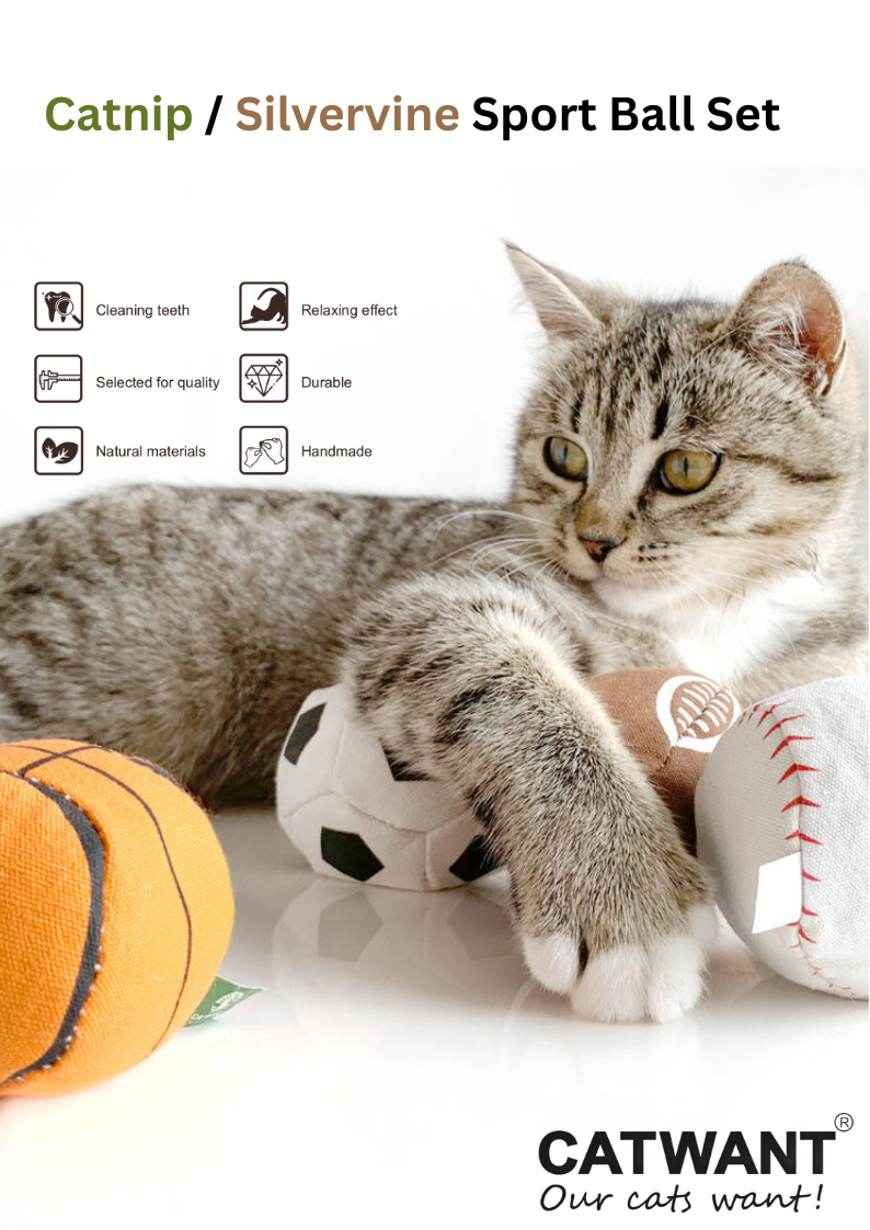 100% Silvervine Catnip Sport Balls Set - 4-Pack for Fun Feline Playtime - Shopthatapp.ca