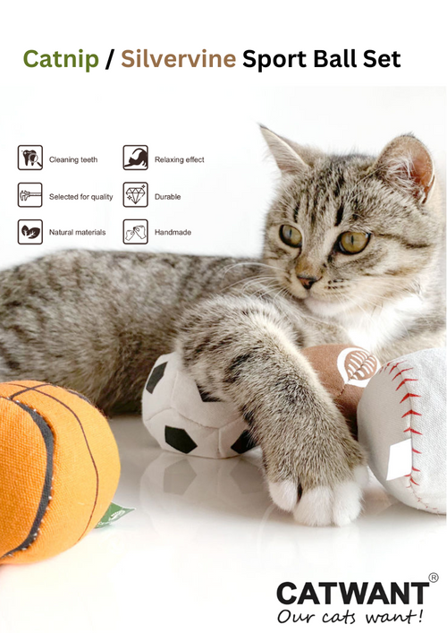 100% Silvervine Catnip Sport Balls Set - 4-Pack for Fun Feline Playtime - Shopthatapp.ca