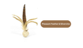 Silvervine Catnip Birdie for Engaging Playtime and Excitement - Shopthatapp.ca