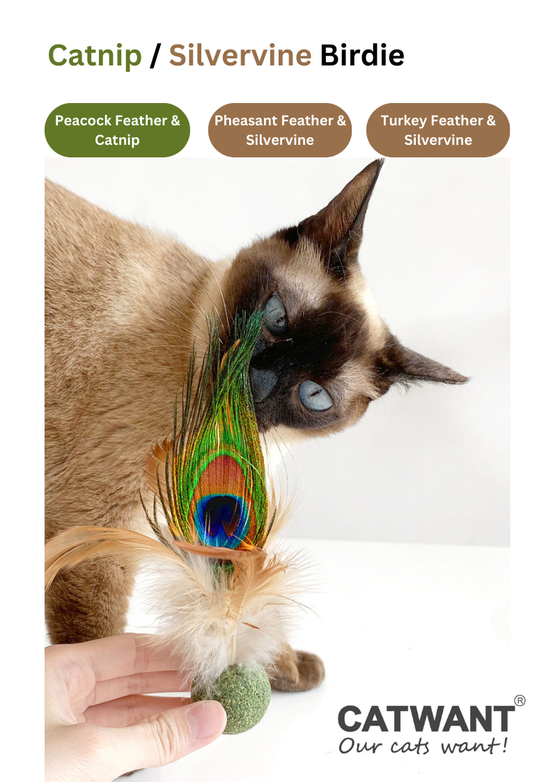 Silvervine Catnip Birdie for Engaging Playtime and Excitement - Shopthatapp.ca