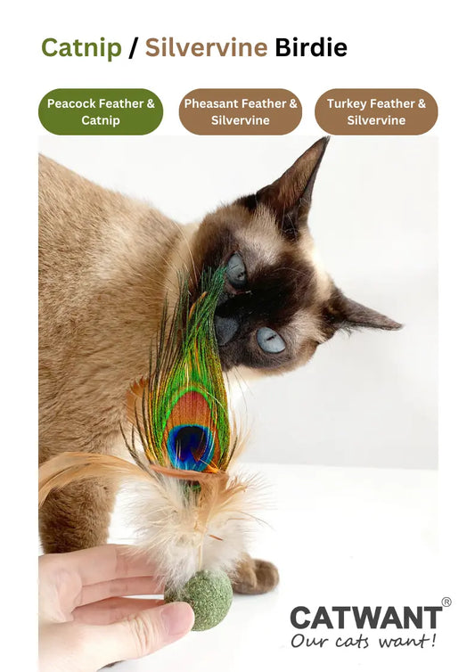 Natural Silvervine Catnip Birdie toy from CATWANT, designed for engaging cat play and excitement.