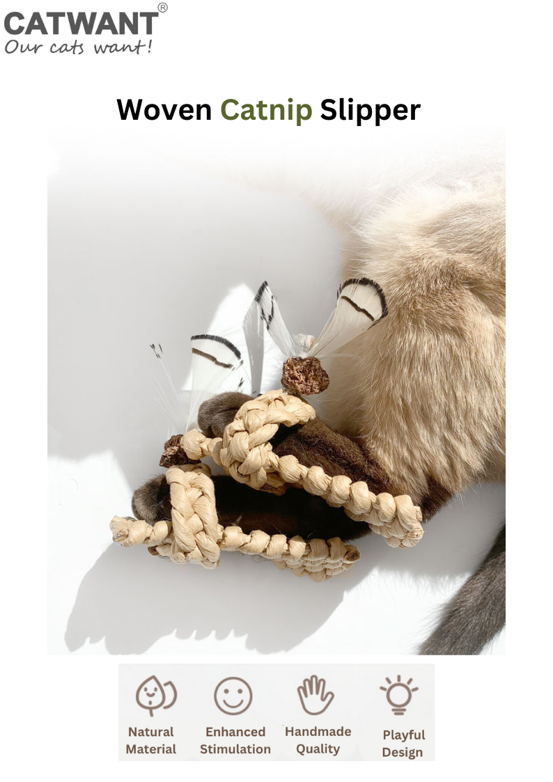 Woven Catnip Slippers for Happy Cats and Fun Playtime - Shopthatapp.ca