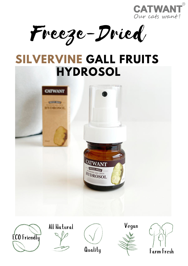 Freeze-Dried Silvervine Gall Fruit Hydrosol, 35 ML - Shopthatapp.ca