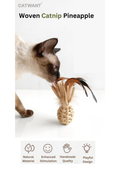 Woven Catnip Toy - Fun Pineapple Design for Playful Cats - Shopthatapp.ca