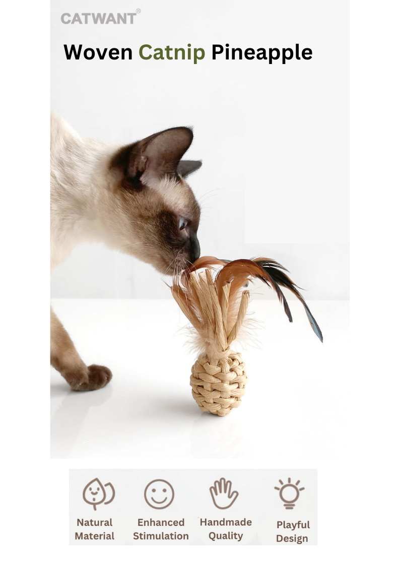 Woven Catnip Toy - Fun Pineapple Design for Playful Cats - Shopthatapp.ca