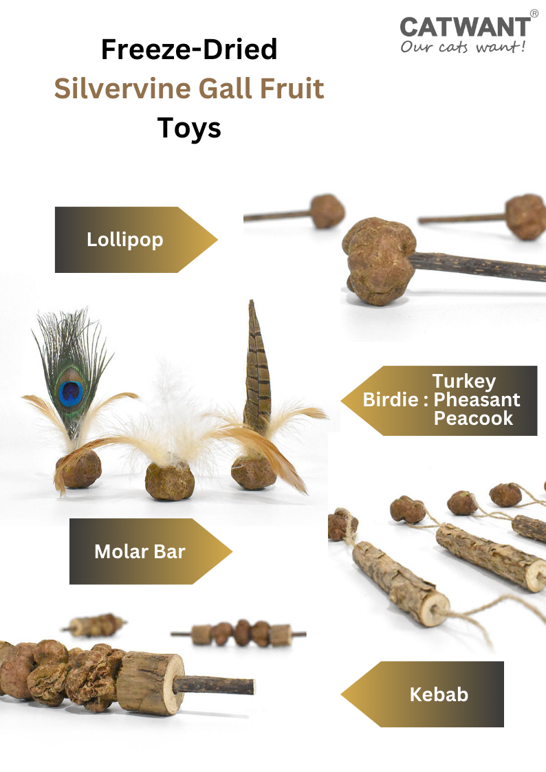 Freeze Dried Silvervine Toys for Cats - Natural Relaxation and Play - Shopthatapp.ca