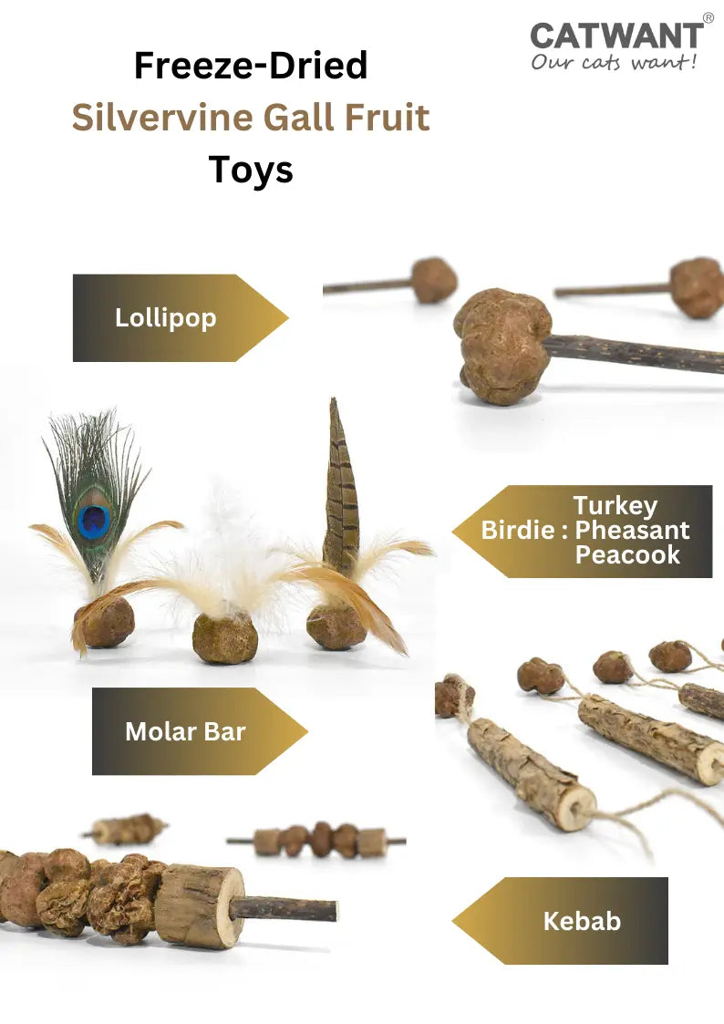 Freeze dried silvervine gall fruit toy for cats by CATWANT, natural relaxation and play aid with colorful plush design.