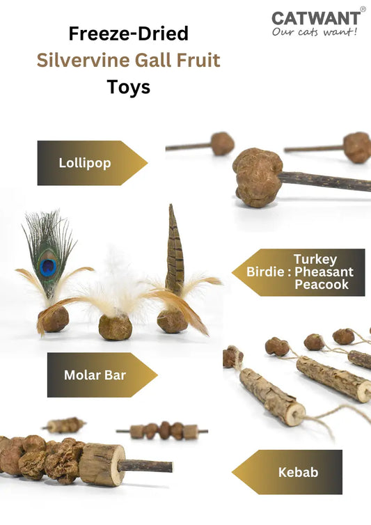 Freeze dried silvervine gall fruit toy for cats by CATWANT, natural relaxation and play aid with colorful plush design.
