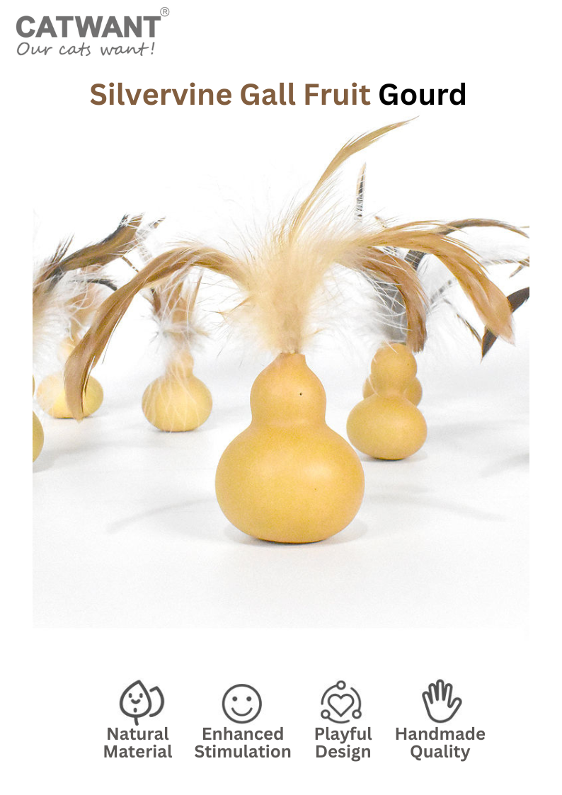 Silvervine Gall Fruit Gourd - Shopthatapp.ca