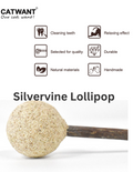 Catnip Silvervine Lollipop - Natural Cat Toy for Fun and Stimulation - Shopthatapp.ca