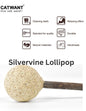 Natural Catnip Silvervine Lollipop from CATWANT, a fun and stimulating toy for cats made of fresh, natural materials.
