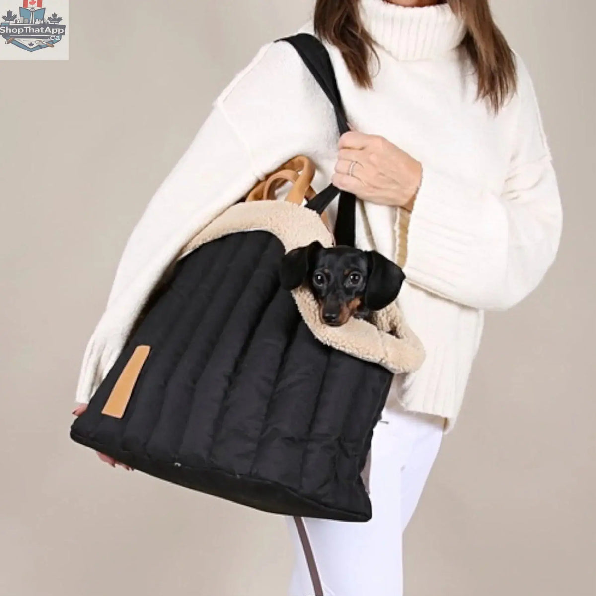 Bailey Pet Carrier – Luxury Dog Carrier Bag - Shopthatapp.ca