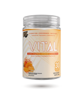VNDL Project Vital - Endurance, Recovery & Hydration - Www.Shopthatapp.ca