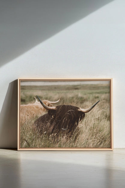 HIGHLAND SPIRIT - Route du Village Canvas Art - Oeuvre sur toile étirée - Shopthatapp.ca