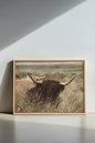 HIGHLAND SPIRIT - Route du Village Canvas Art - Oeuvre sur toile étirée - Shopthatapp.ca