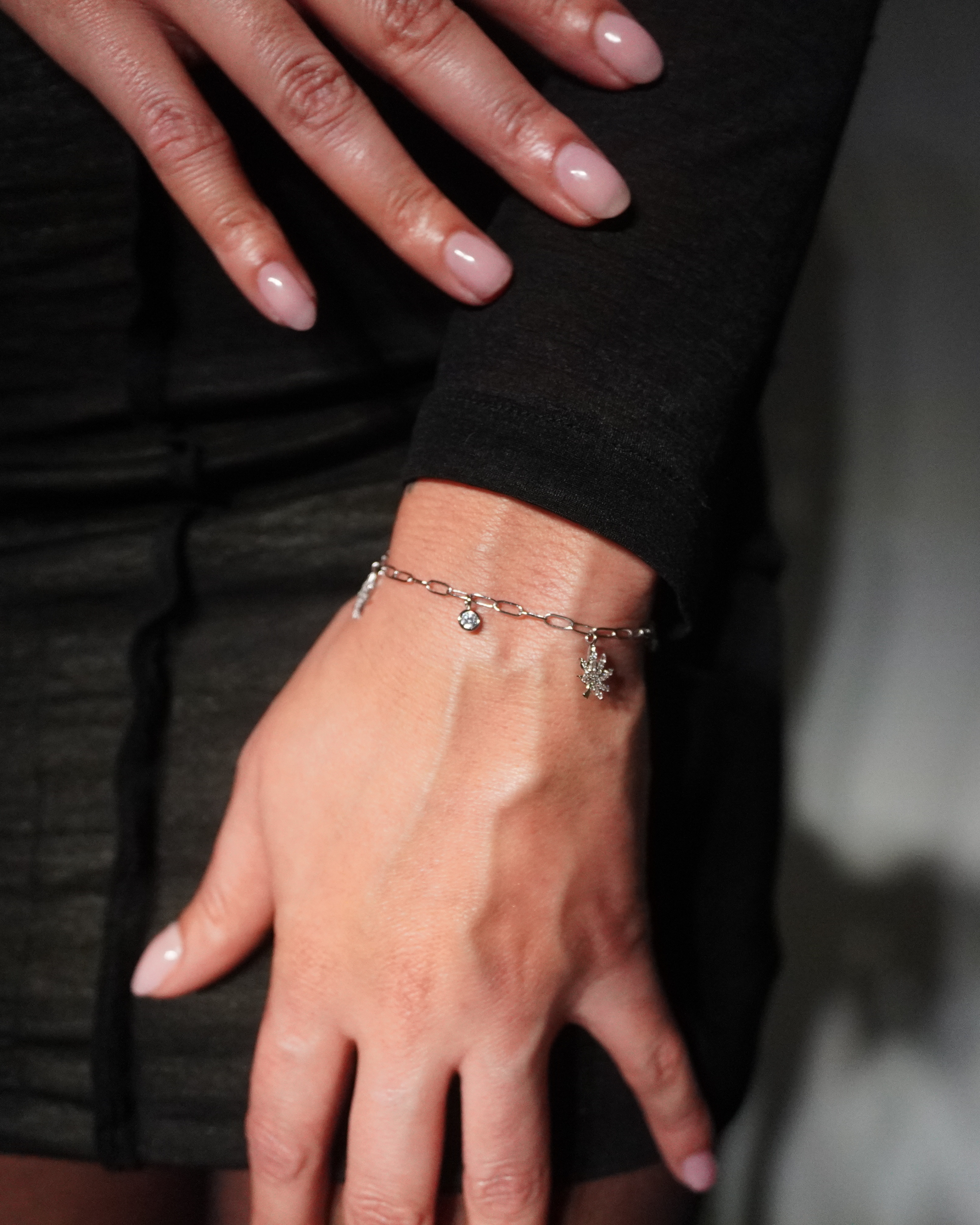 SILVER CHARMED BRACELET - Shopthatapp.ca