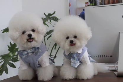 Belinda Set – Luxury Plaid Outfit Set for Dogs with Matching Hat - Shopthatapp.ca