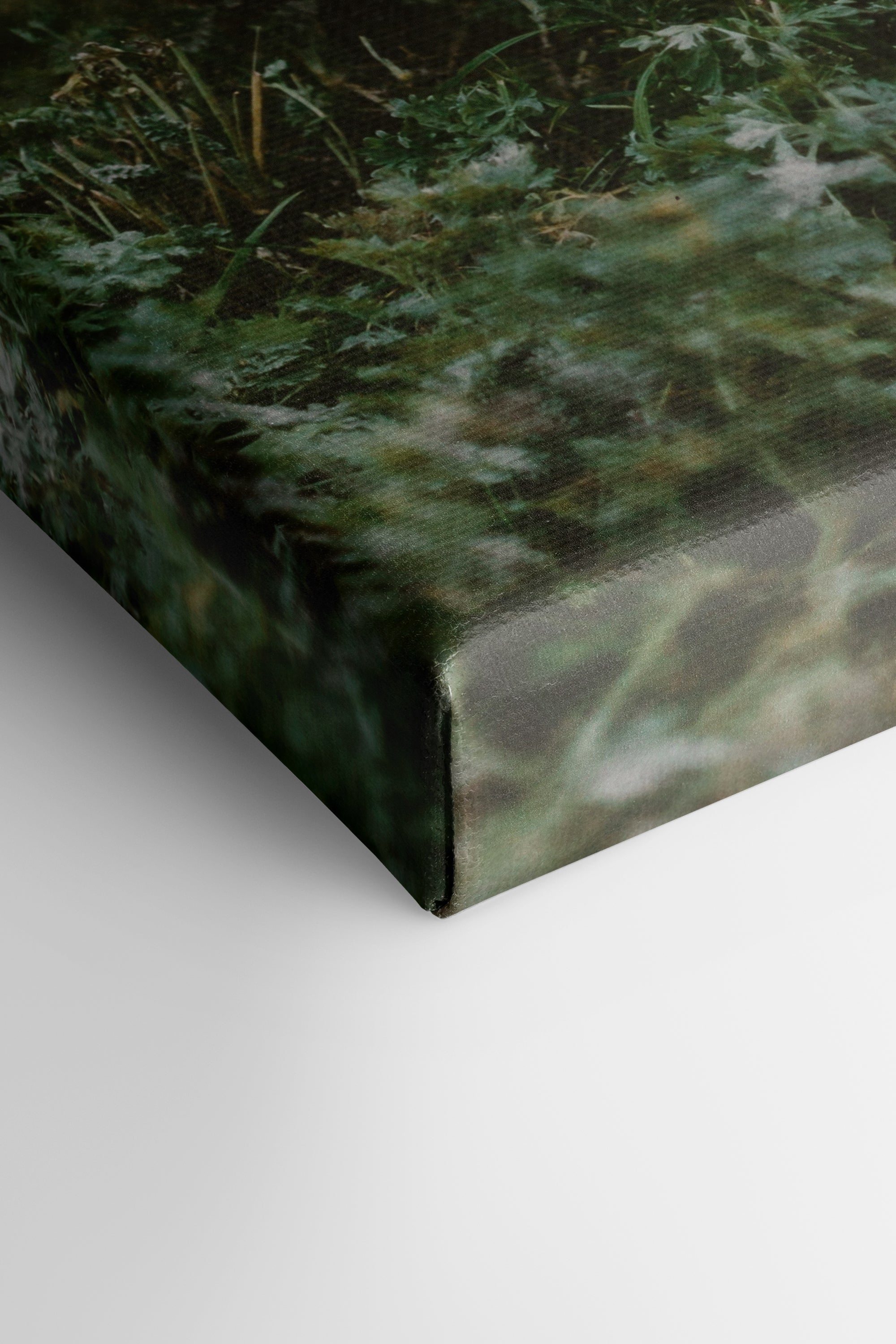 ROOTED SPIRIT Art - Oeuvre sur toile étirée