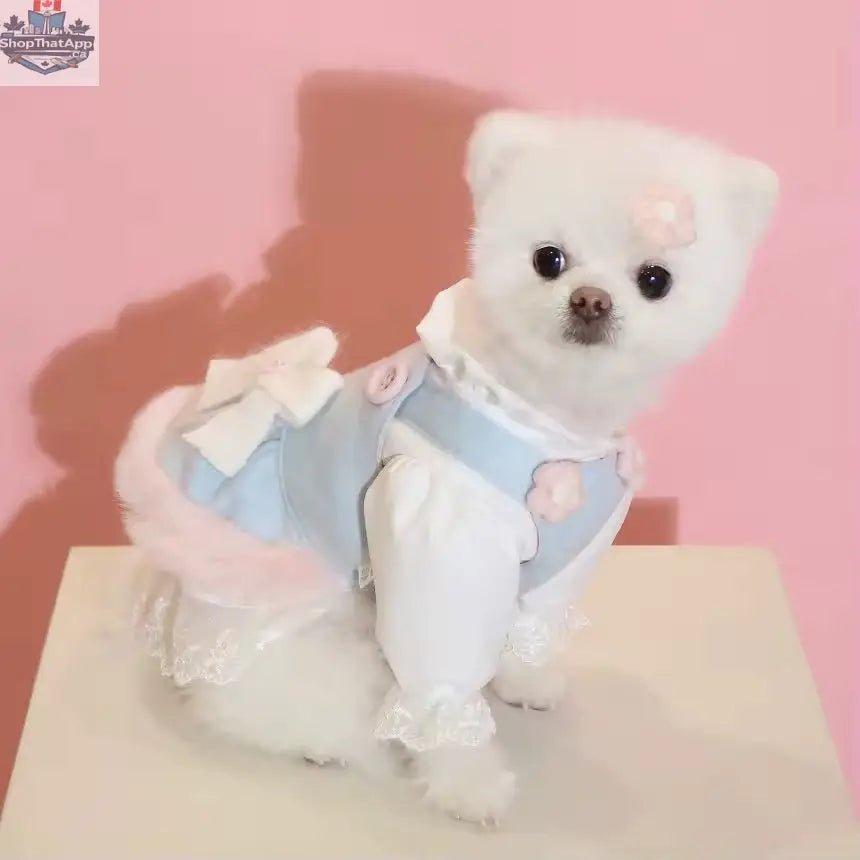 Baby Blue Easter Bunny Outfit – Easter Dog Hat Set - Shopthatapp.ca