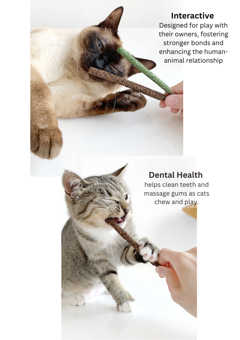 Silvervine Catnip Biscuit Sticks - 8pcs of Natural Feline Treats - Shopthatapp.ca