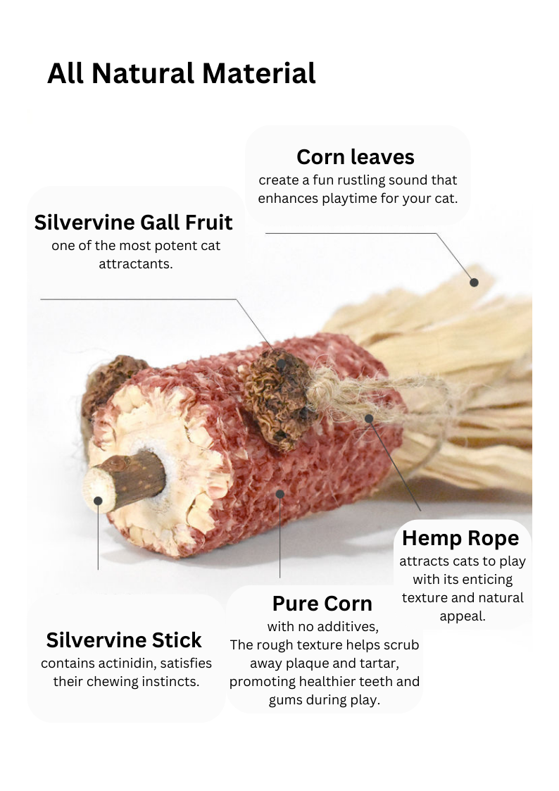 Silvervine Corn Goldfish - Shopthatapp.ca