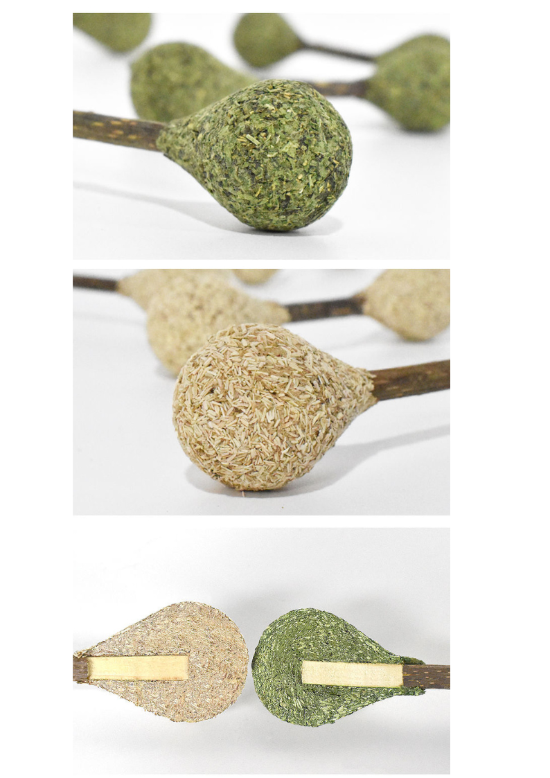 Catnip Dental Buds - Natural Silvervine Chews for Healthy Teeth - Shopthatapp.ca