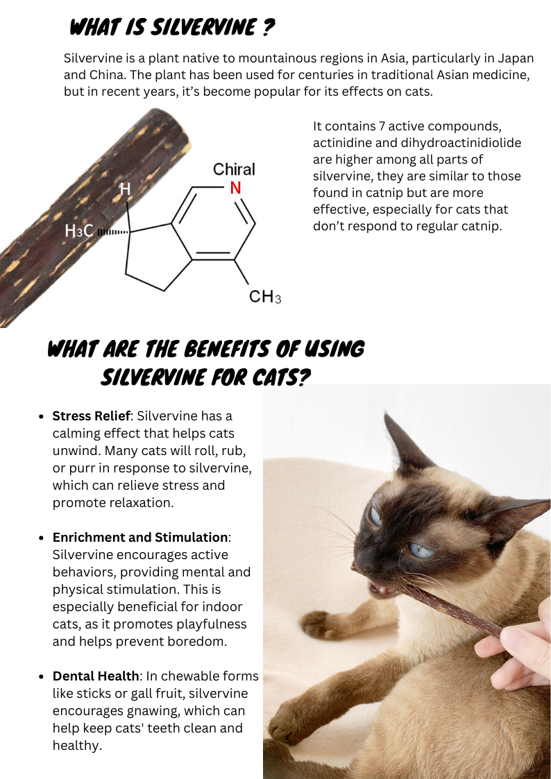 Silvervine Sticks for Cats - Natural Cat Teaser and Chew Toys - Shopthatapp.ca