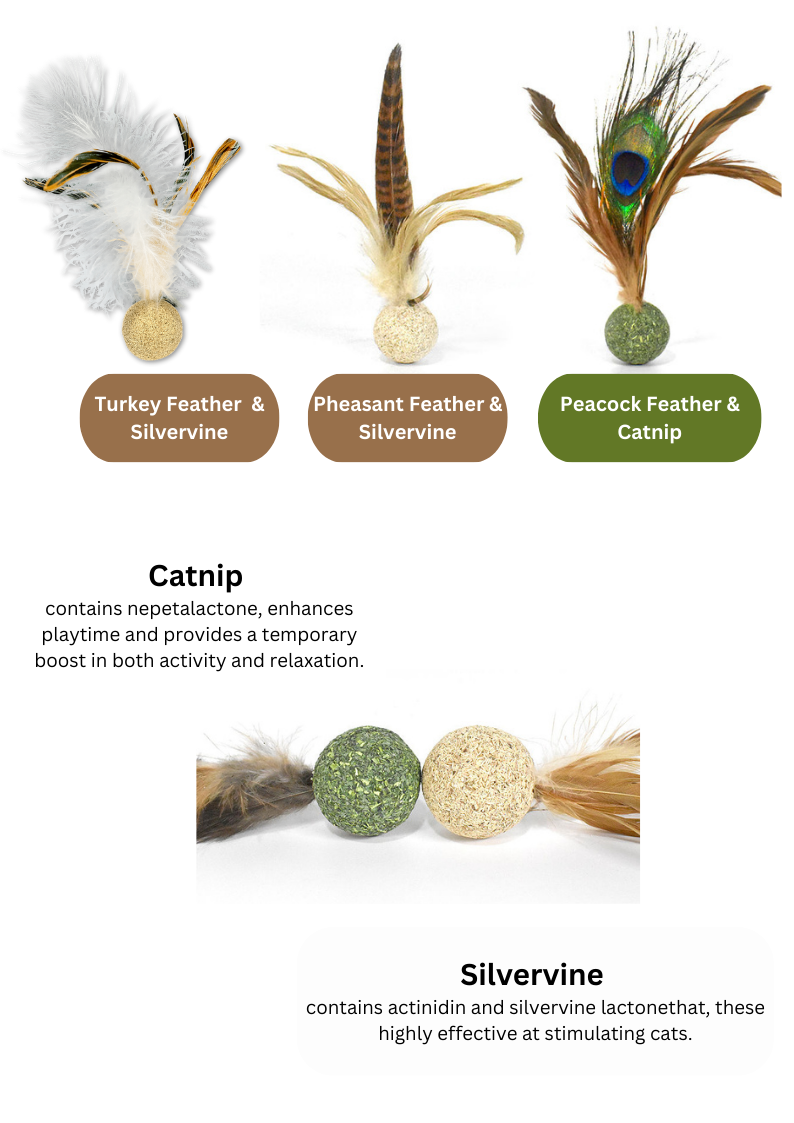 Silvervine Catnip Birdie for Engaging Playtime and Excitement - Shopthatapp.ca