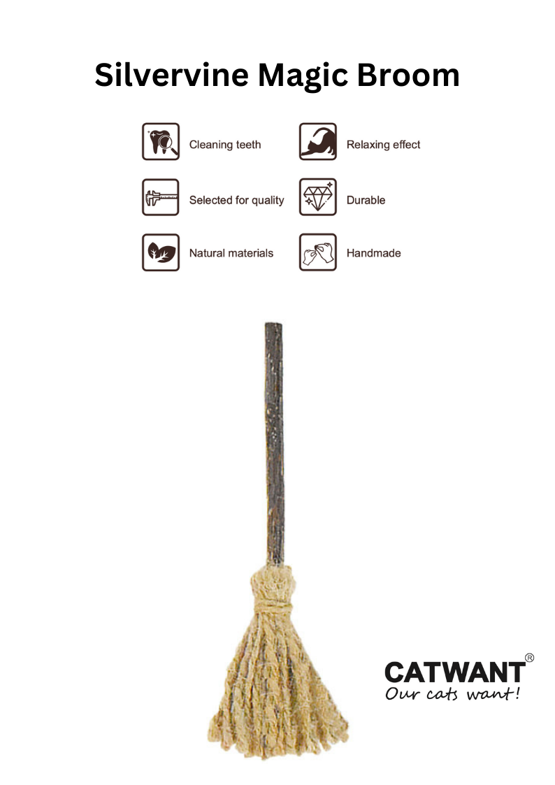 Silvervine Magic Broom - Shopthatapp.ca