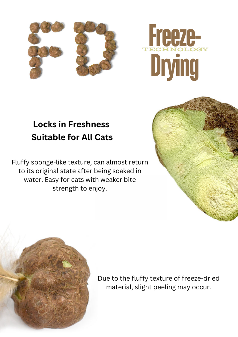 Freeze-Dried Silvervine Fruits 20g - Natural Cat Enrichment Snack - Shopthatapp.ca