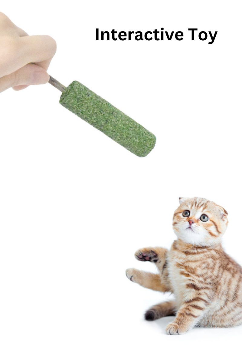 Extra Fancy Catnip Popsicle - Shopthatapp.ca