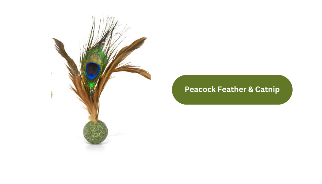 Silvervine Catnip Birdie for Engaging Playtime and Excitement - Shopthatapp.ca