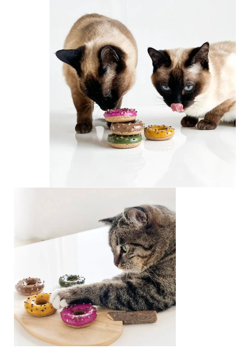 Silvervine Donut Cat Toy - Engaging Playtime for Your Feline Friend - Shopthatapp.ca