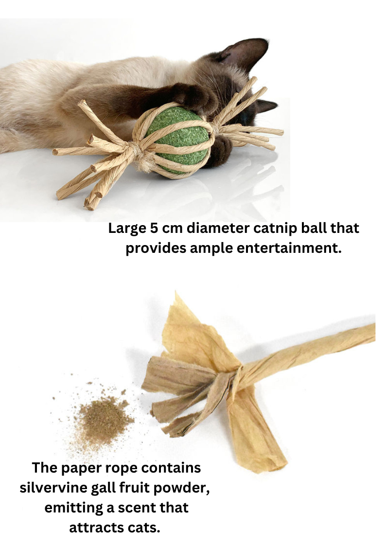 Woven Silvervine Candy with Catnip Ball - Irresistible Treat for Cats - Shopthatapp.ca