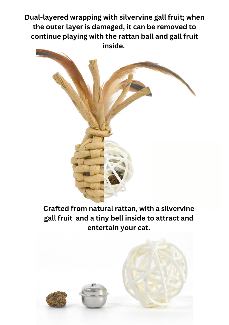 Woven Catnip Toy - Fun Pineapple Design for Playful Cats - Shopthatapp.ca
