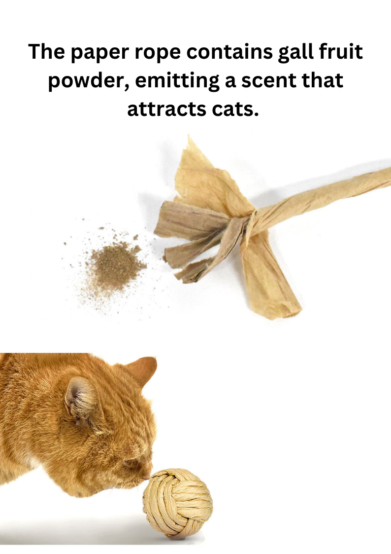 Woven Silvervine Fruit Ball for Playful Cats to Enhance Happiness - Shopthatapp.ca