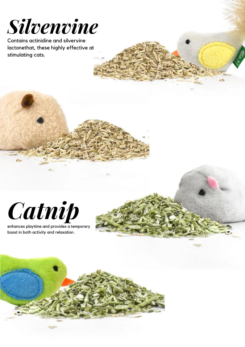 Catnip and silvervine small pet toys by CATWANT, featuring colorful, textured toys designed for playful small pets.