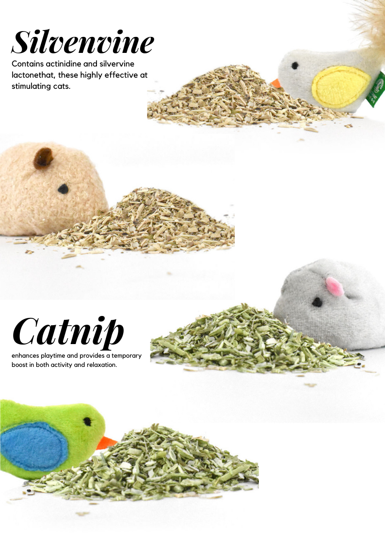 Catnip Silvervine Pet Toys for Small Pets - Happy Playtime Guaranteed - Shopthatapp.ca