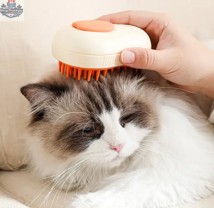 3-in-1 Steam Cat Hair Brush — Grooming, Cleaning & Massage in One - Shopthatapp.ca