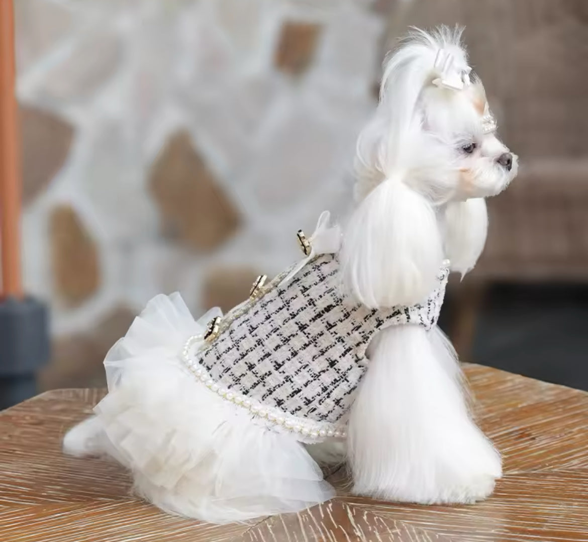 Coco Chewnel Dress – Luxury Tweed Dog Dress - Shopthatapp.ca