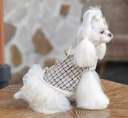 Coco Chewnel Dress – Luxury Tweed Dog Dress - Shopthatapp.ca