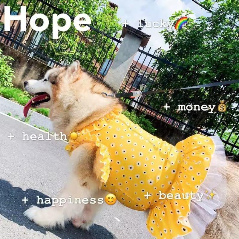 Daisy Spring Dress - Floral Dog Dress Large Breeds for Stylish Pets - Shopthatapp.ca