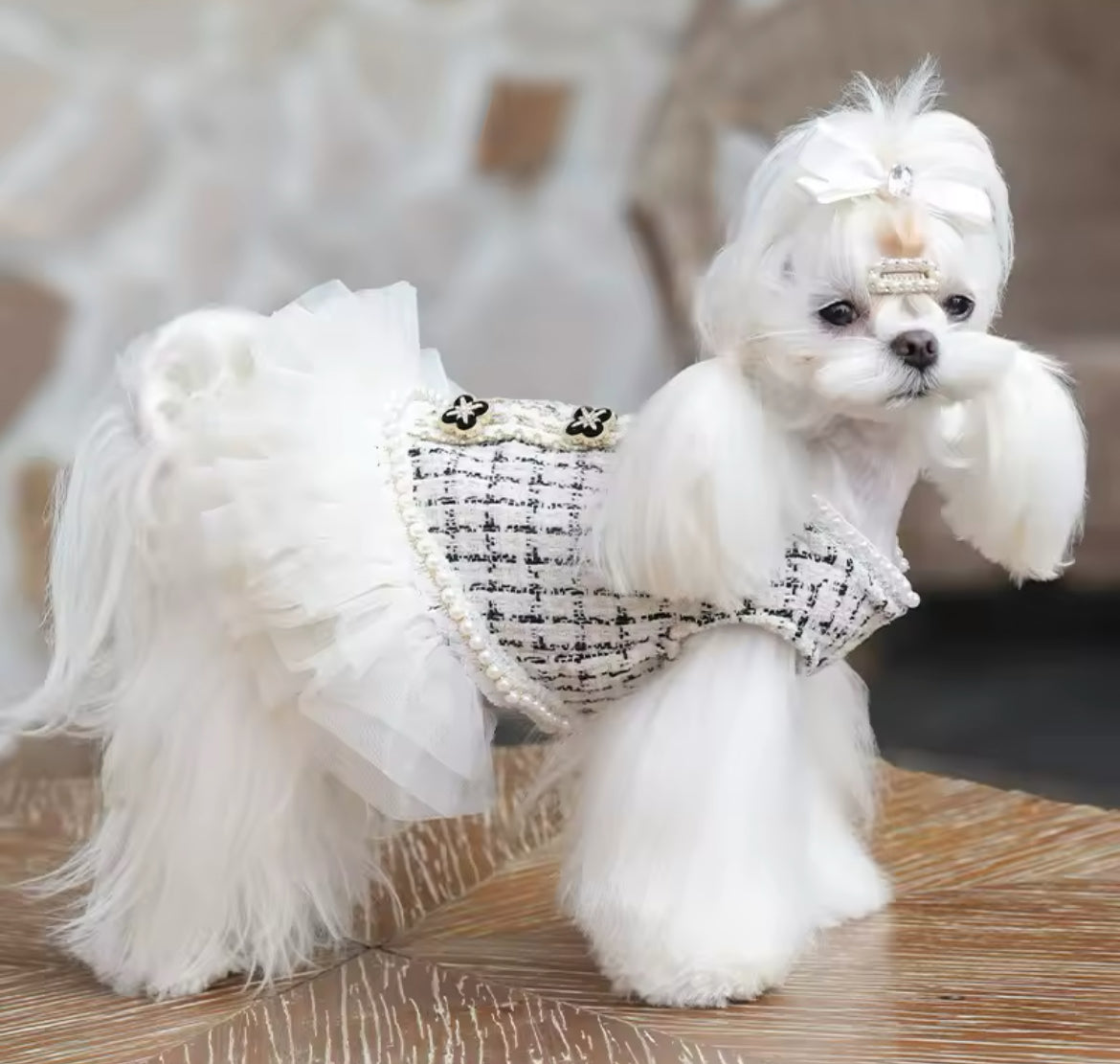 Coco Chewnel Dress – Luxury Tweed Dog Dress - Shopthatapp.ca